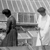 Horticultural Students Working in Seed Beds