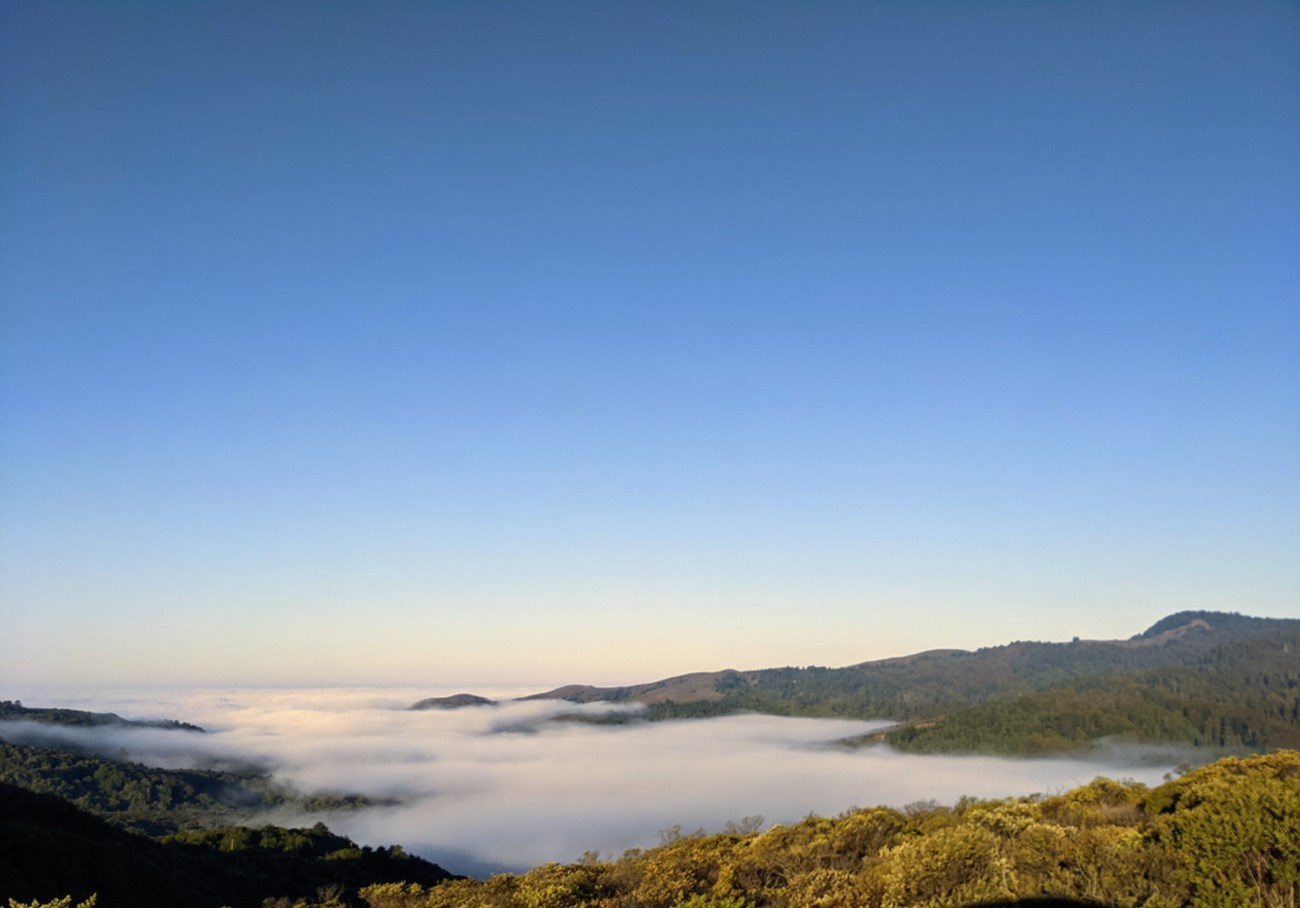 Fog seeps from the ocean onto the land, looking like a cloud river blanketing low lying valleys. The surrounding skies are blue.