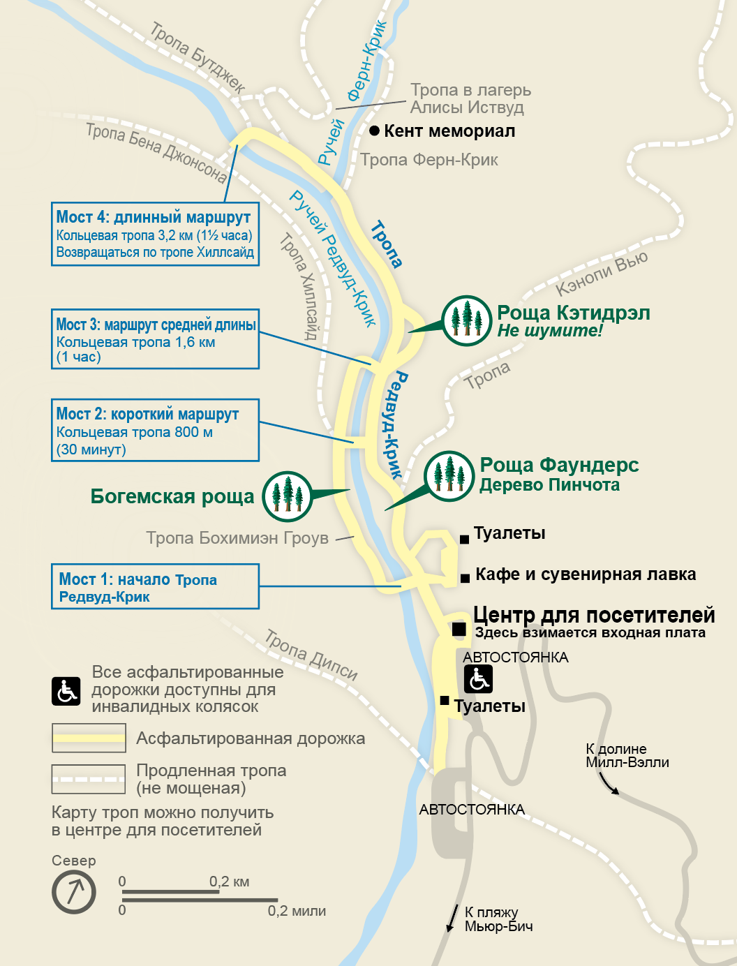 Muir Woods Maps, Guide and Trails