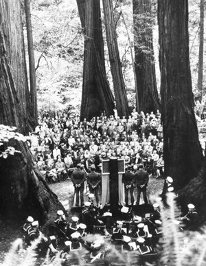 historic image of men & women gathering among a tall stand of redwood trees