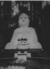 Bohemian Club at Muir Woods Bohemian Club at Muir Woods