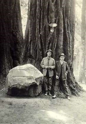 William Kent and Gilford Pinchot pose in front of redwoods trees, and large stone. William Kent and Gilford Pinchot pose in front of redwoods trees, and large stone.
