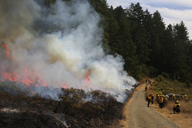 fire fighters on a trail survey a prescription fire as smoke and flames dominate the image