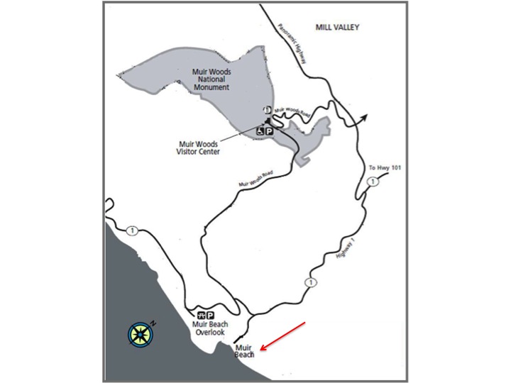 Black and white map showing the relative positions of Muir Woods and Muir Beach.