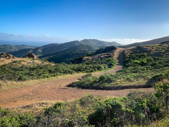a sweeping view of rolling hills dotted with bushes, grasses, and a twisting trail