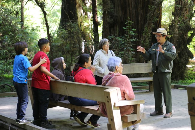 A uniformed ranger speaks with visitors seated and standing in front of a grove of redwoods.