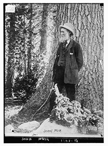Bearded man in a hat standing next to a tall tree.