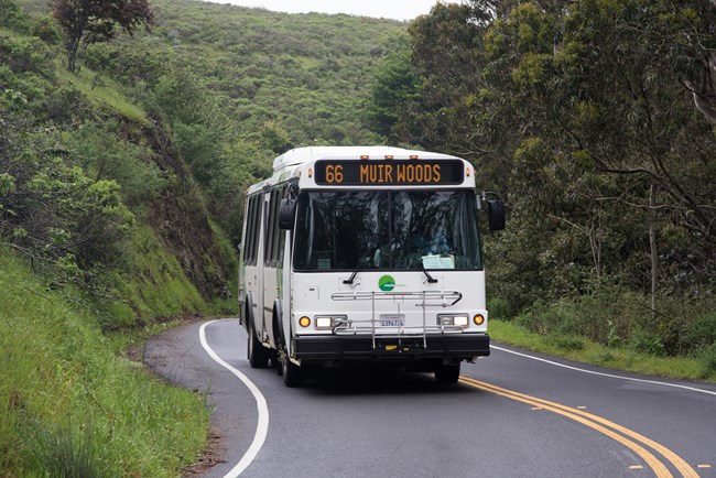 The Muir Woods shuttle cruises down lower Muir Woods Road.