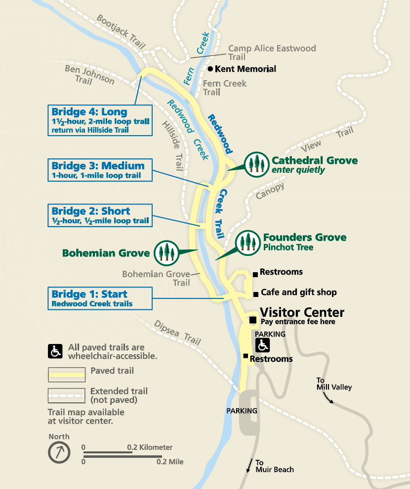 Map of hiking trails and four bridges along Redwood Creek
