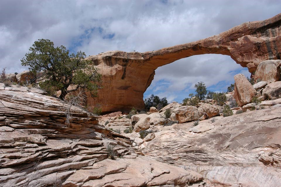 Owachomo Bridge, a thin natural rock bridge made a pale sandstone, in the background. in the foreground, stacked layers of eroding pale sandstone