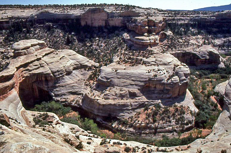 Geology Natural Bridges National Monument (U.S. National Park Service)