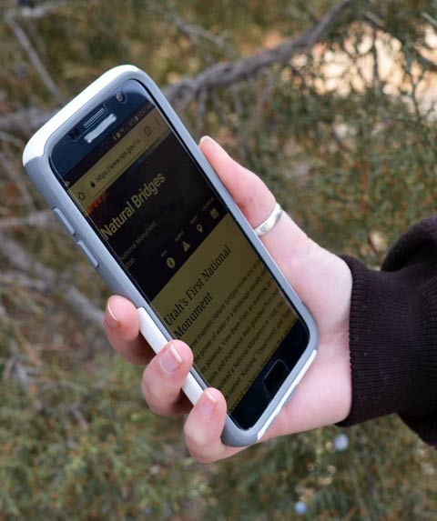 480px-nabr-cell-service.jpg?maxwidth\u003d650\u0026autorotate\u003dfalse
