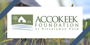 Accokeek Foundation logo.