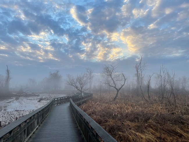 The sun shines behind clouds as mist rises on the boardwalk.