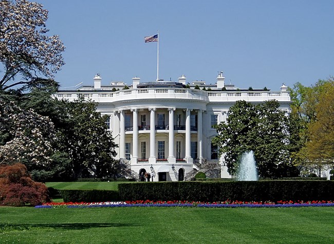 Jackson magnolias White House south facade