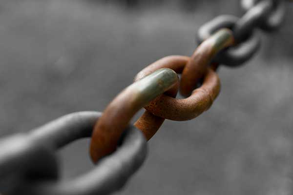 2nd Place Expressions of Freedom