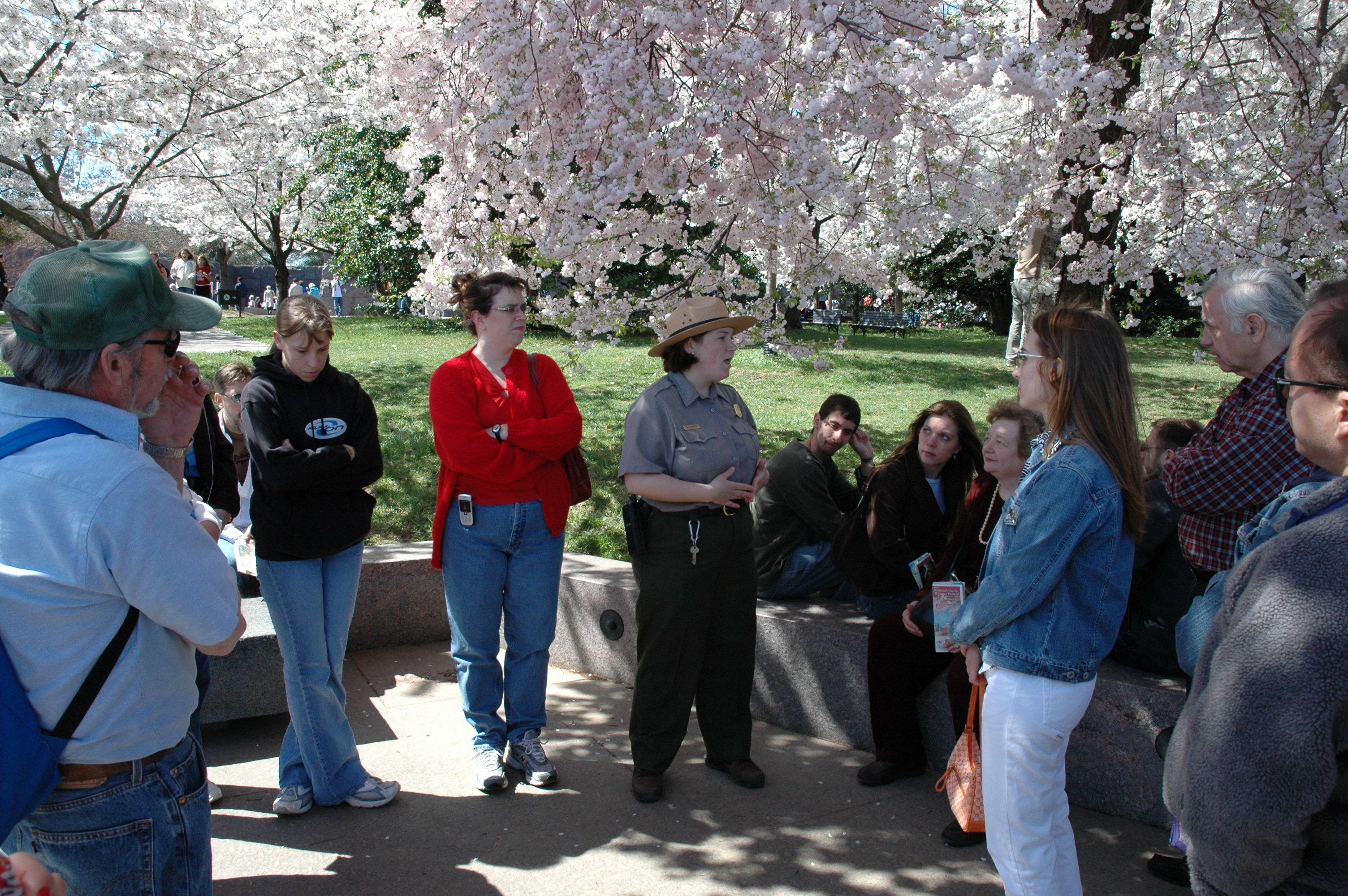 Park Ranger talking to visitors among cherry trees