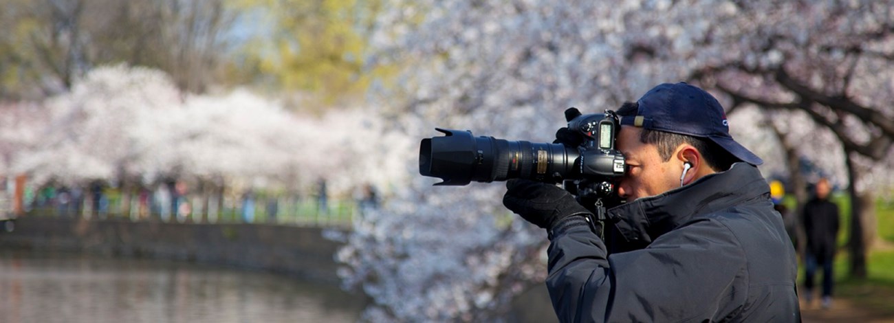 Photographer with a sizable camera lens near cherry blossom trees and water