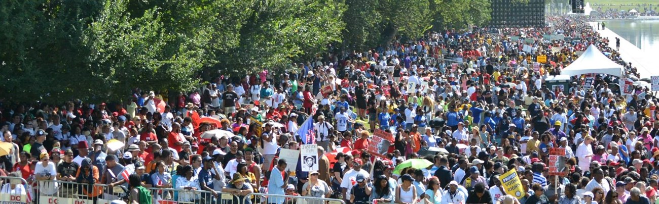 Large crowd demonstrating near the Reflecting Pool