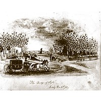 Historic Sketch of Bluff Park Horse drawn buggy with 2 horses in Bluff Park