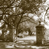 Natchez City Cemetery brick columns on either side of street surrounded by trees