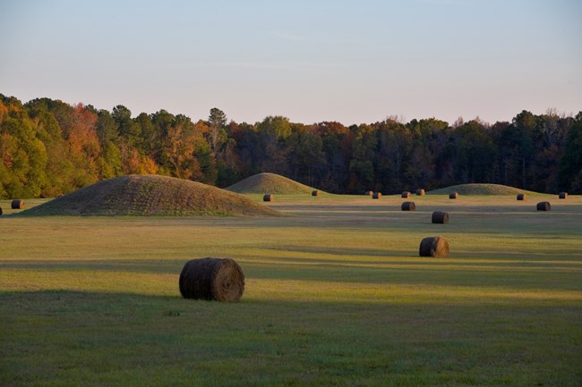 20071101153122.jpg Pharr Mounds, milepost 286, Mississippi
