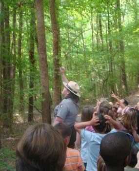 A ranger and group of children stand in a bright green forest looking up