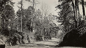 History & Culture - Natchez Trace Parkway (U.S. National Park Service)