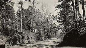 A portion of the Old Trace in Claiborne County, Mississippi, 1935.