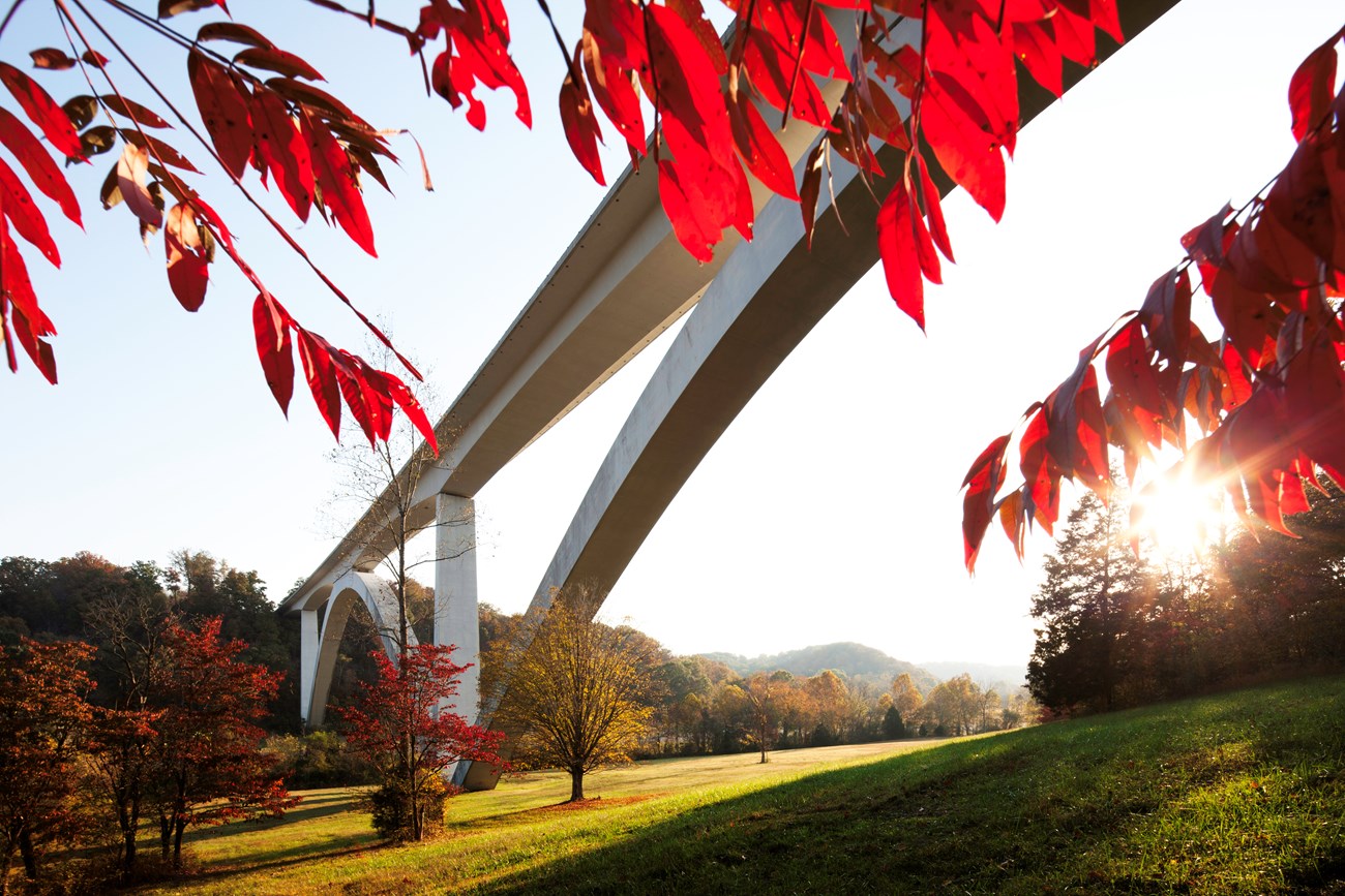 A view from below of an arched concrete bridge, red leafed trees frame the view.