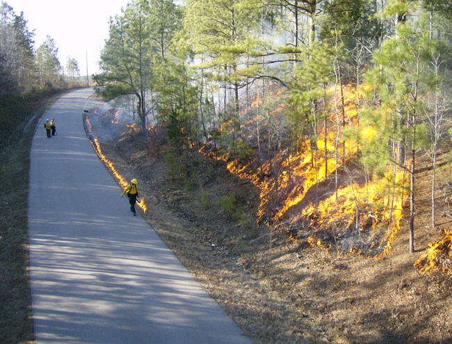 Prescribed burn at Twentymile Bottom Overlook.