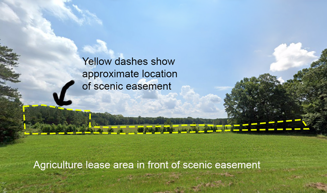 Scenic and Ag lease example