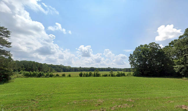 A pastoral scene with a pasture lined with green trees and a blue lightly clouded sky.  A second pasture is seen behind the first.