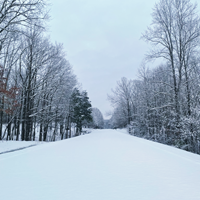 Snow covered road with snow covered trees lining the roadway.