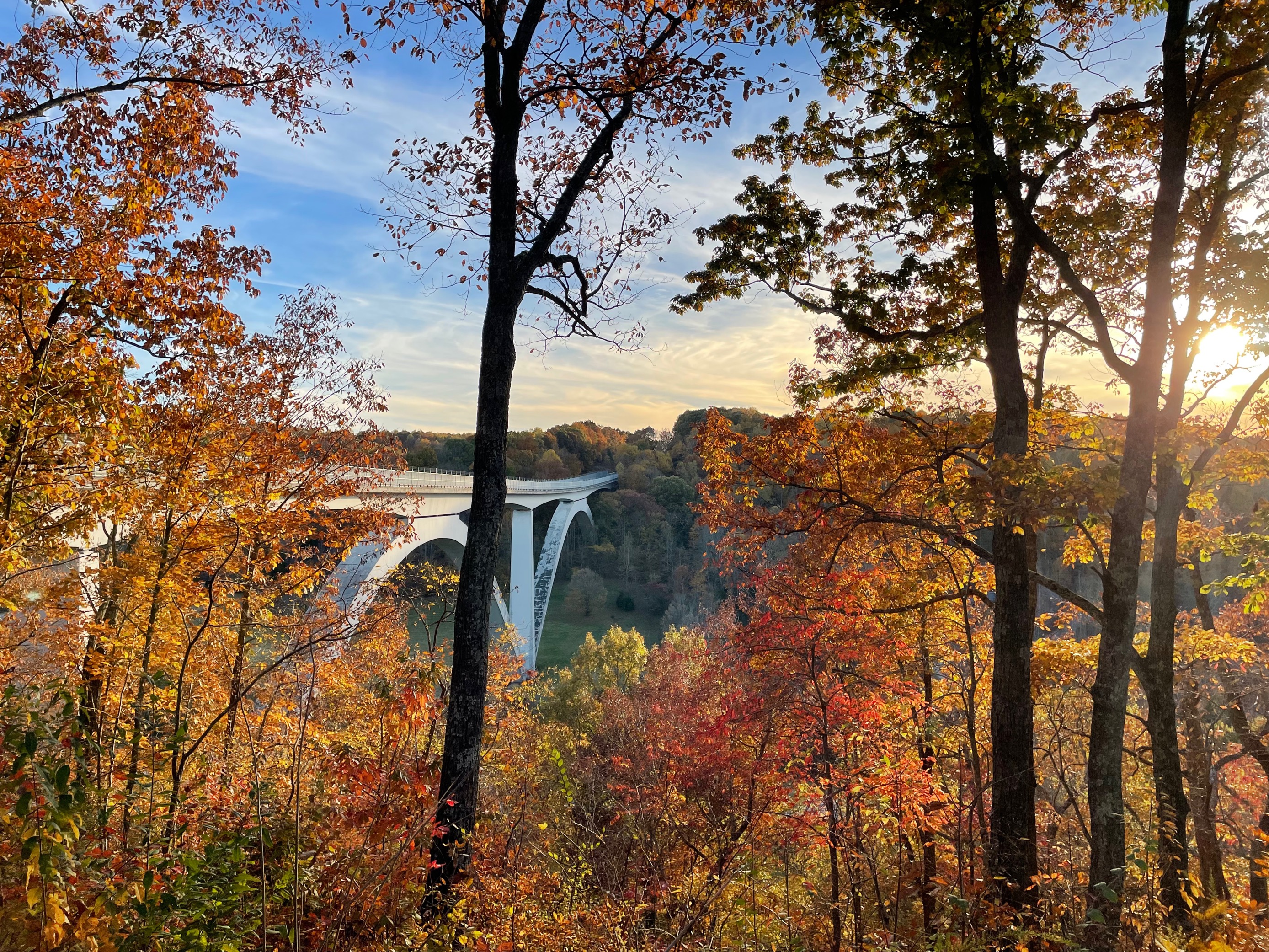 Double Arch Bridge from Birdsong Hollow with temporary pedestrian safety barrier. A bridge with trees in fall foliage around it