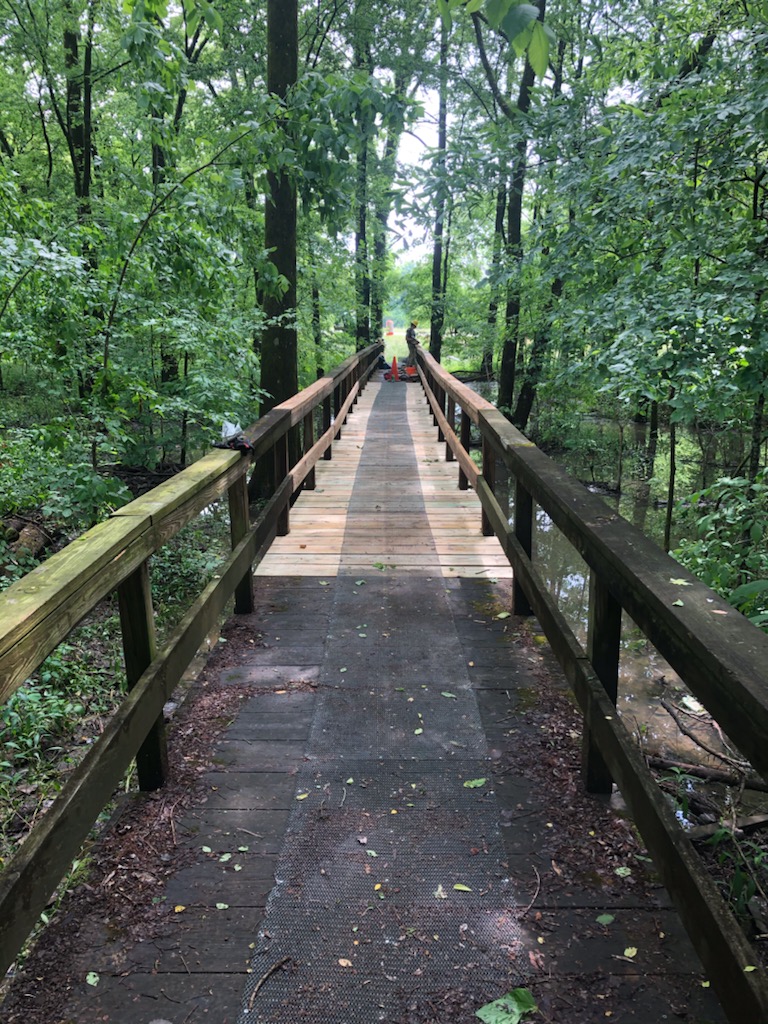 Blackland Prairie trail boardwalk Tree-lined boardwalk