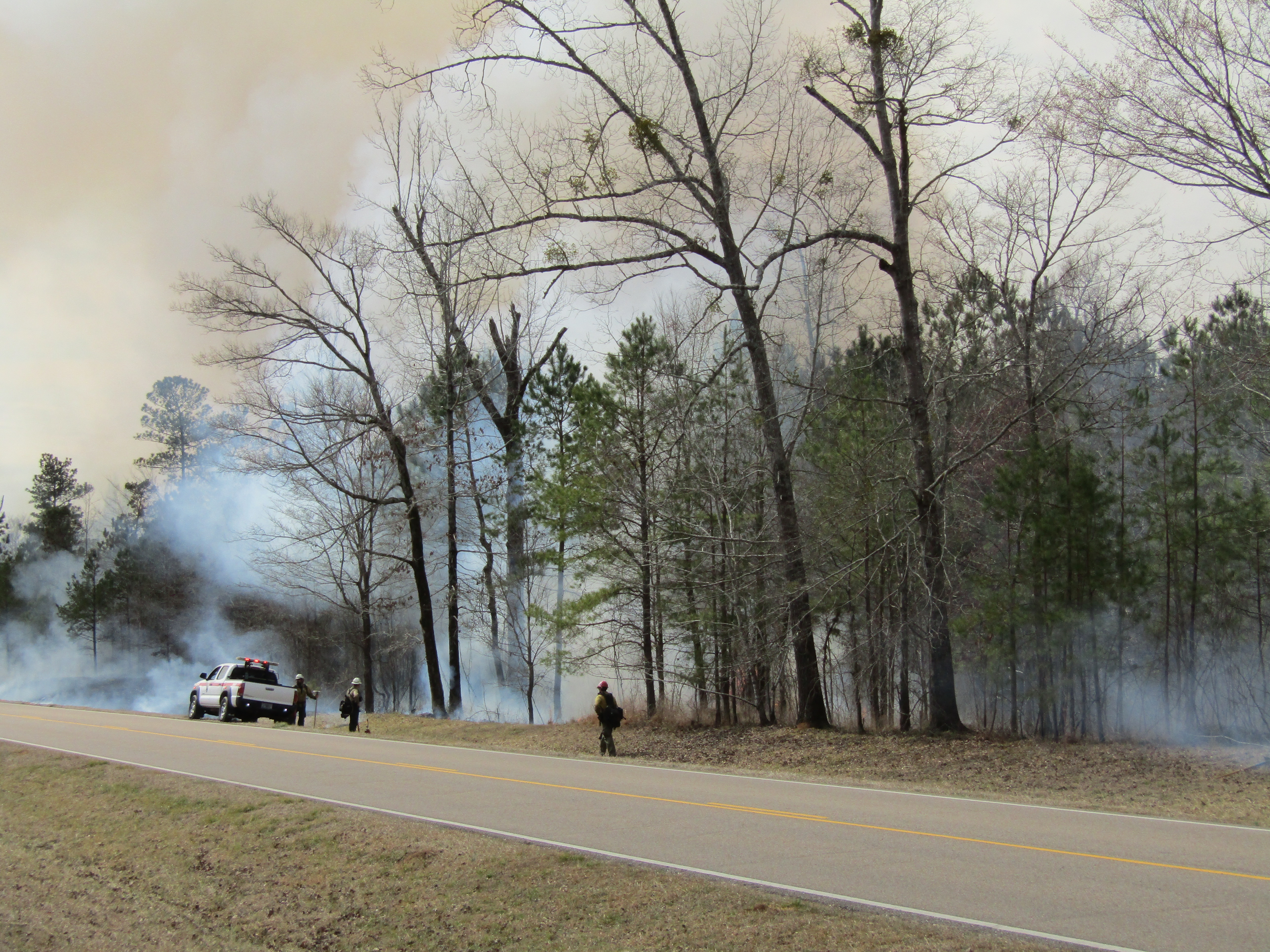 tree lined road with smoke among the trees. Three firefighters stand near the tree line and a fire pick up truck is parked off the road near the trees