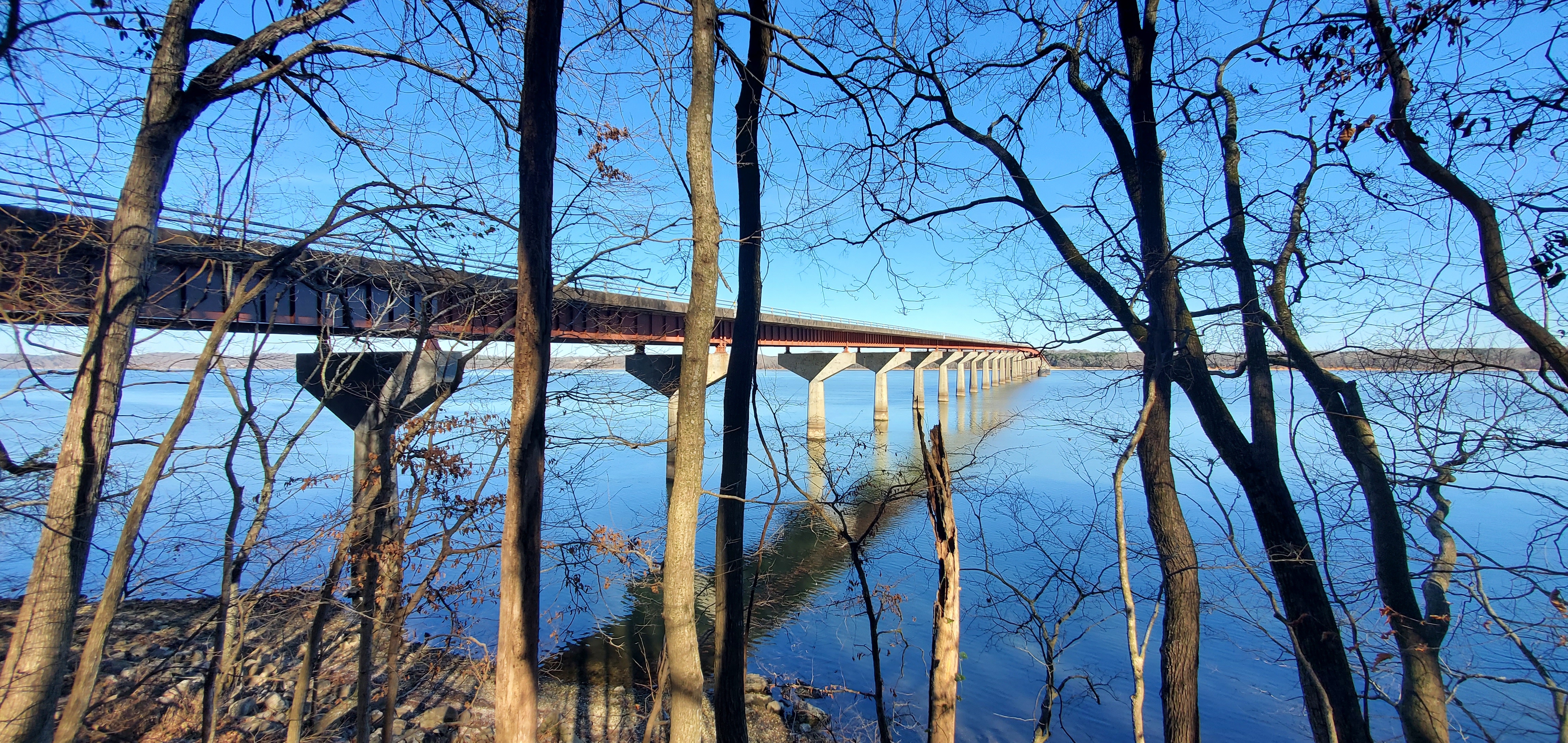 John Coffee Memorial Bridge Leafless trees reveal a multi-pillar bridge spanning over a wide river with land visible in the distance.