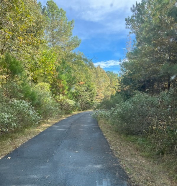 Chisha Foka Multi-Use Trail Trees and other vegetation line a paved trail