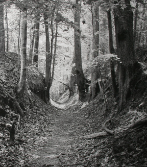 Portion of Sunken Trace image from Cleghorn Photo Exhibit.