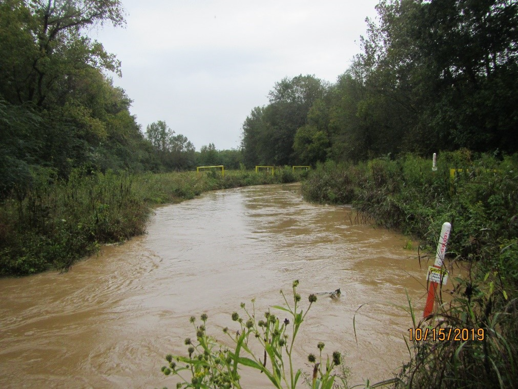 Representative view of Lindsey Creek, located within the pipeline right-of-way A creek flows through an area with heavy vegetation.