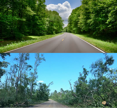 A section of the Natchez Trace Parkway before the storms with large trees, and the same section  after the storms, with only a few trees remaining. 
