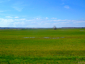 park viewshed