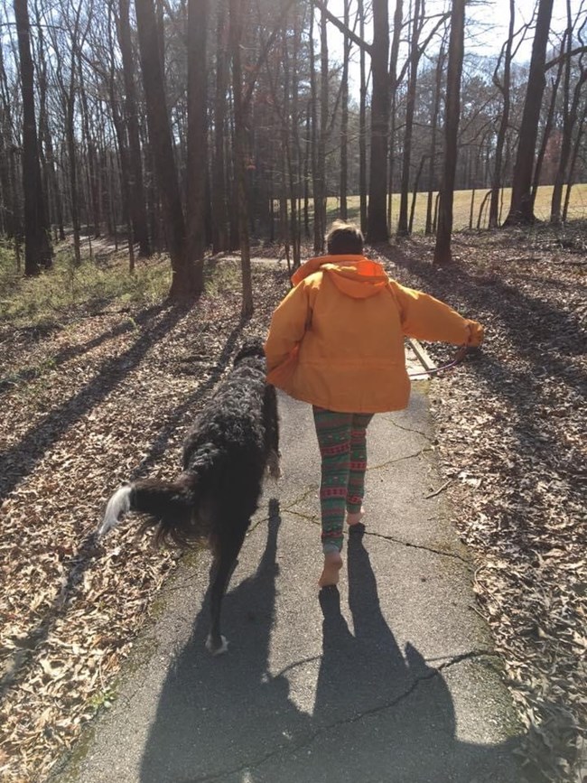 A large dog walking with a person on a paved trail.