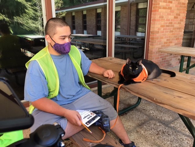 A teenager and a black cat on a leash at a picnic table.