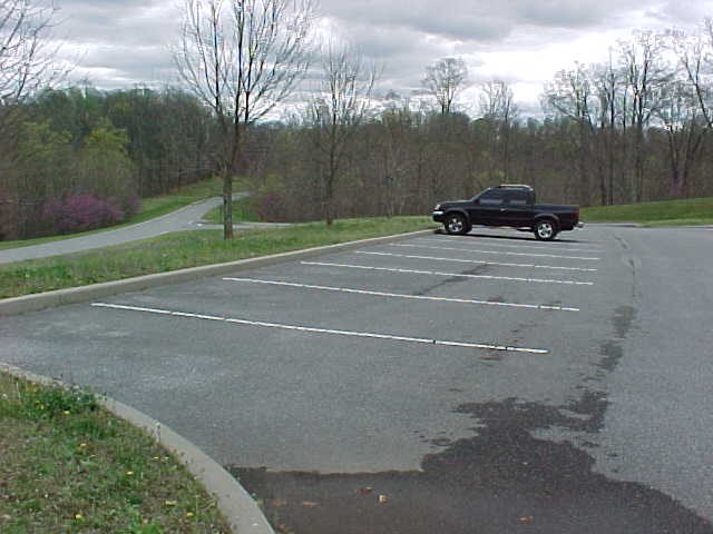 A black pickup truck in a parking area overlooking a two lane road through a forest.