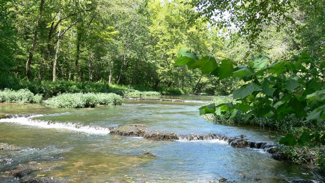 Wide and shallow stream surrounded by green trees.