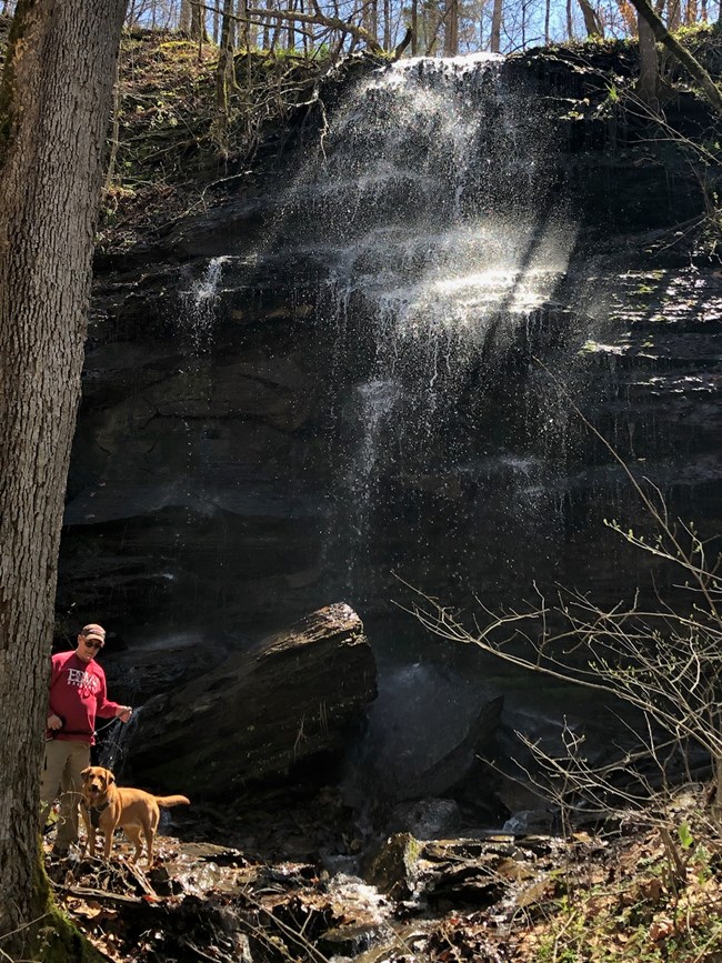 A man with a Labrador-type dog on a trail in front of a waterfall