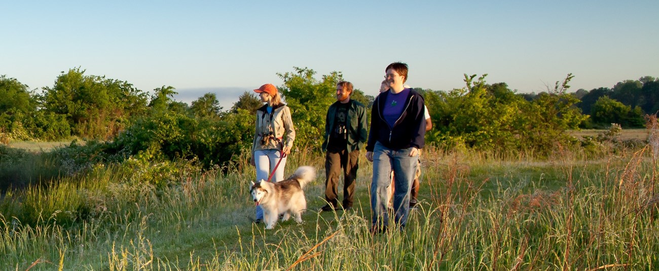 A group 5 hikers and one dog walking on a grass covered trail. Tall prairie grass border both sides of the trail
