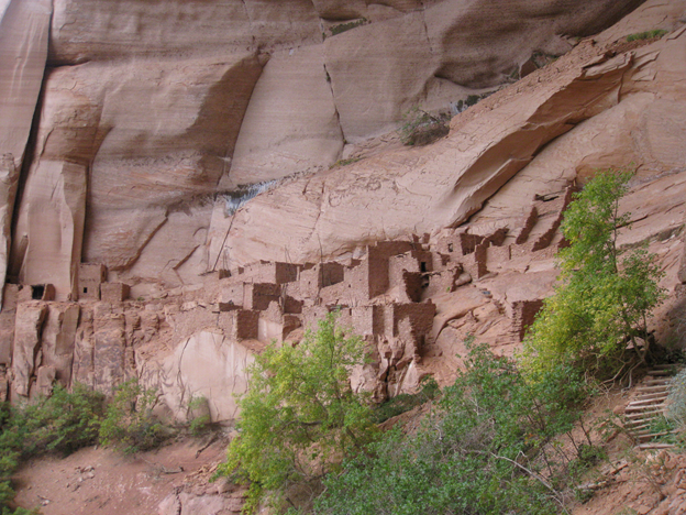 Betatakin Village Looking up towards cliff dwellings nestled below towering red cliff faces